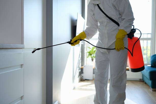 Best Dehumidification Services  in Shamrock, TX